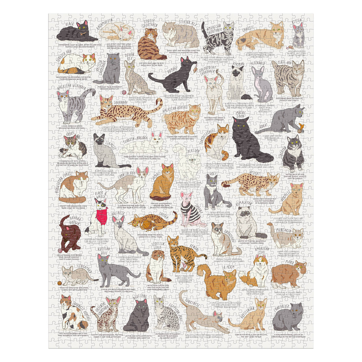 Cat Lover's Puzzle - 1000 Piece