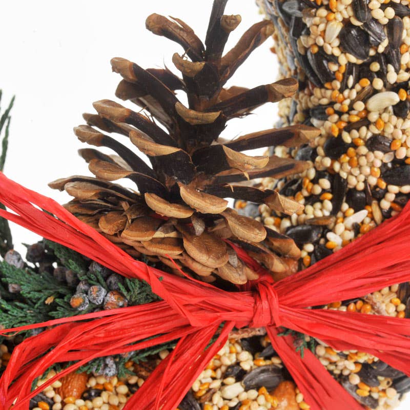 Wild Feast Bird Seed Wreath