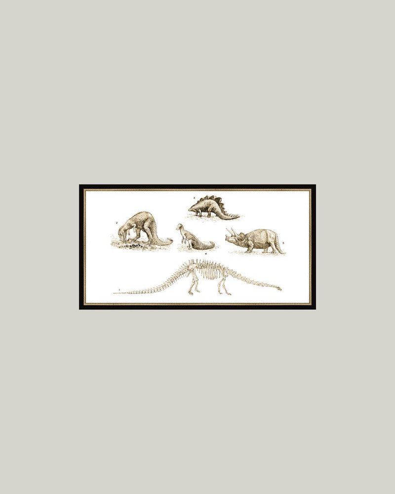 Dinosaur Discoveries Framed Antique Art