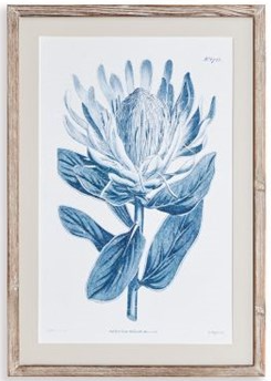 Indigo Protea Prints