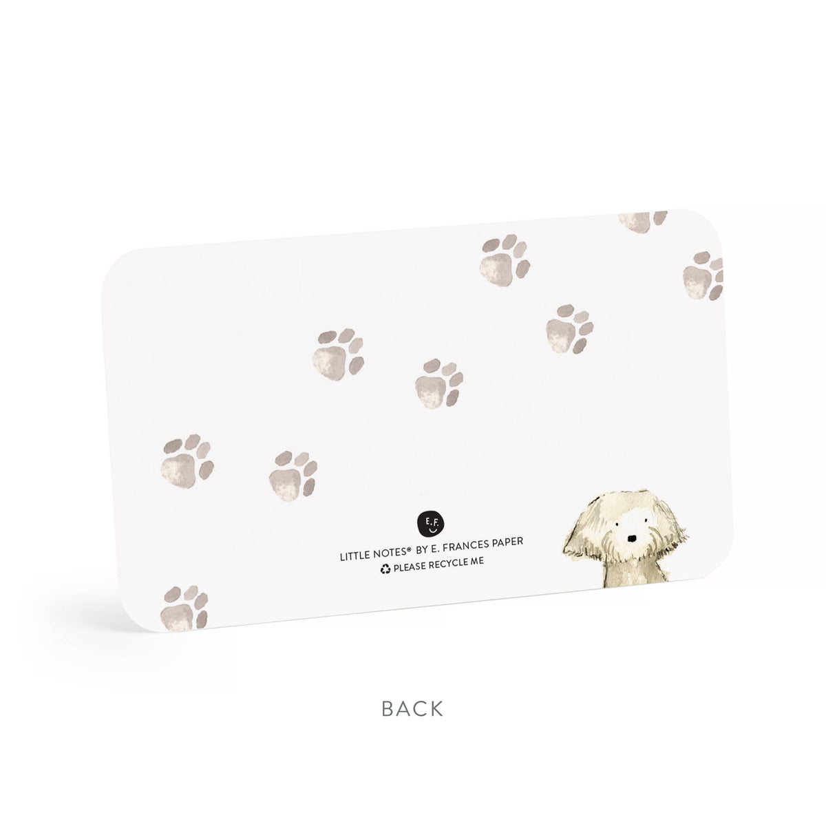 Dog Days Little Notes® – Mini Notecard Pack, Set of 55