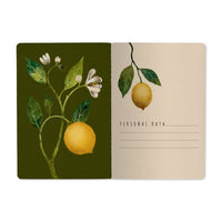 Notebook - Lemons