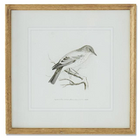 Black and White Song Bird Prints w/ Natural Wood