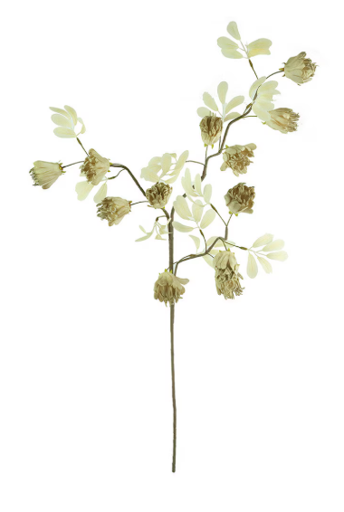 Botanica #3510