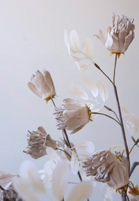 Botanica #3510