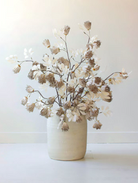 Botanica #3510