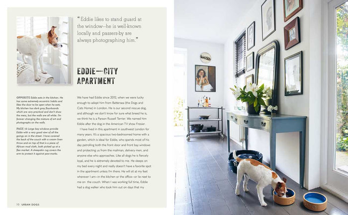 Cool Dogs, Cool Homes