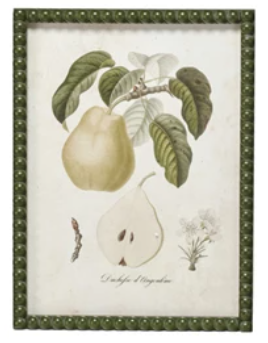 Hobnail Wood Framed Wall Décor w/ Vintage Reproduction Pear Print