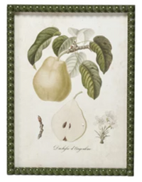 Hobnail Wood Framed Wall Décor w/ Vintage Reproduction Pear Print