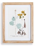 Flora and Fauna Gallery Prints