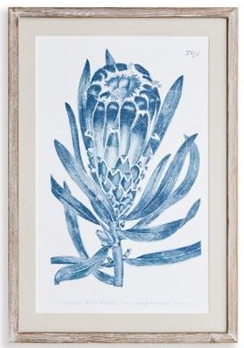 Indigo Protea Prints