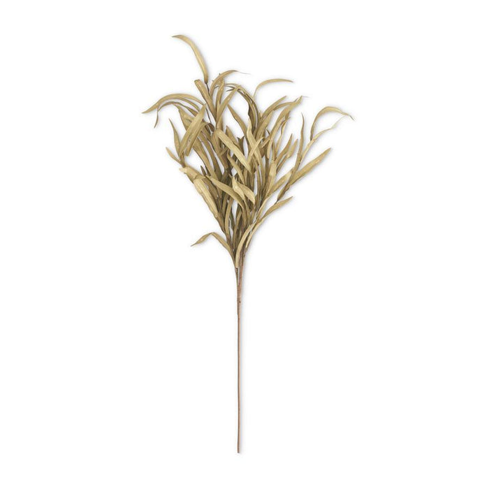 Green Eva Grass