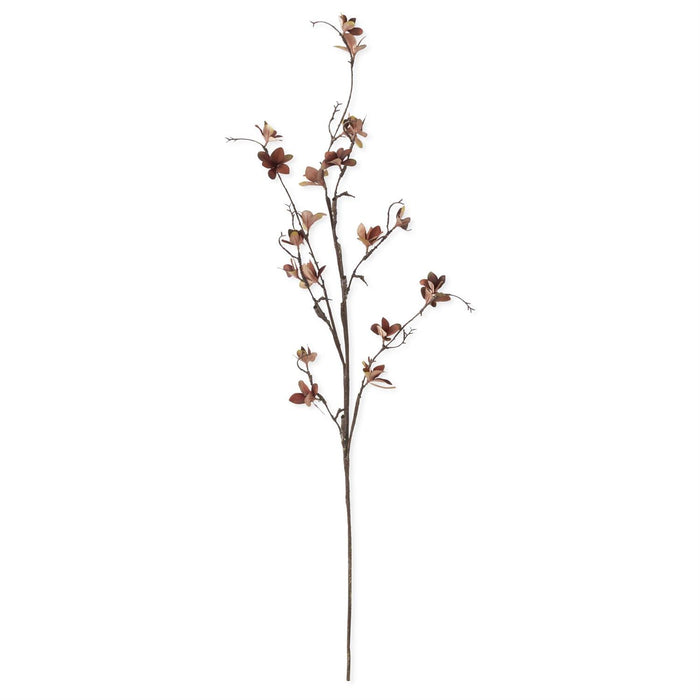 Brown Magnolia Blossom Spray