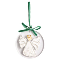 Painted Acrylic Ornament Collection
