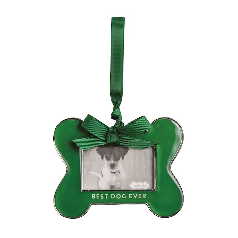Bone Frame Ornament