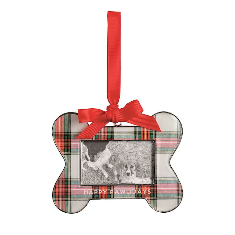 Bone Frame Ornament