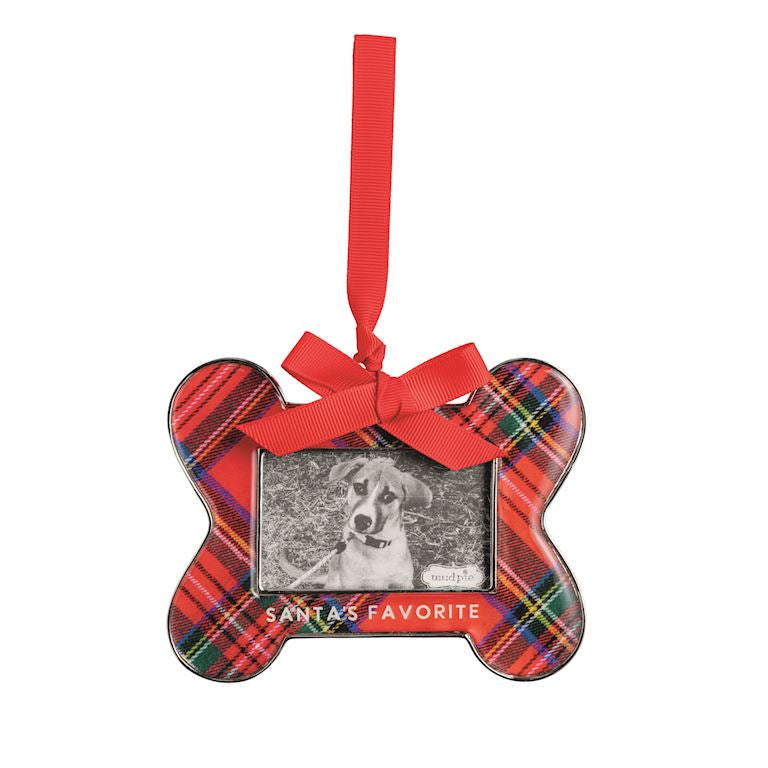 Bone Frame Ornament