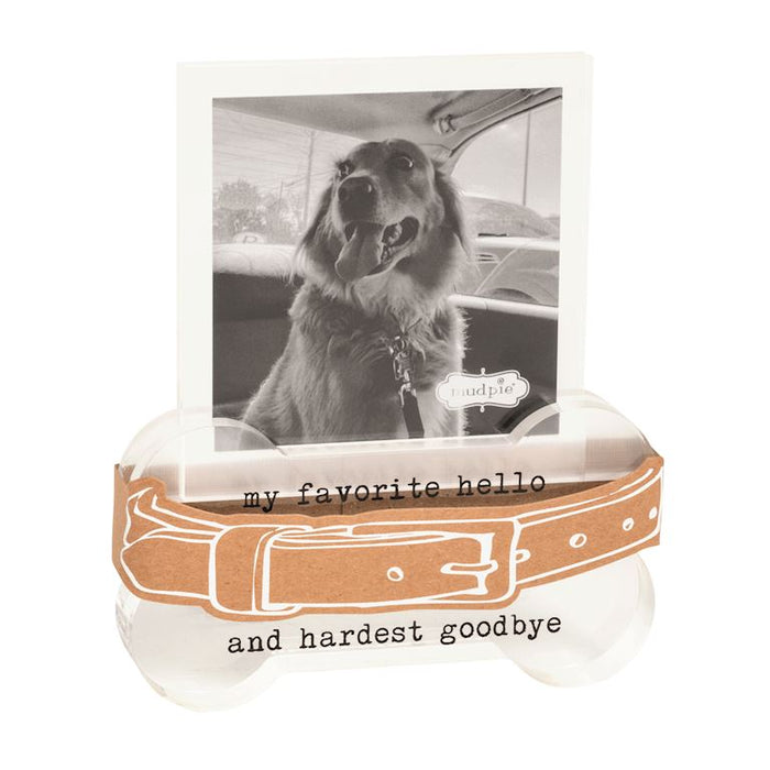 Favorite Collar Memorial Frame