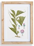 Flora and Fauna Gallery Prints