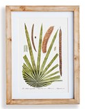 Flora and Fauna Gallery Prints
