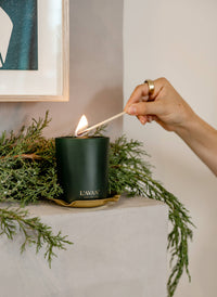 L'AVANT Candle Winter Fir (Limited Edition)
