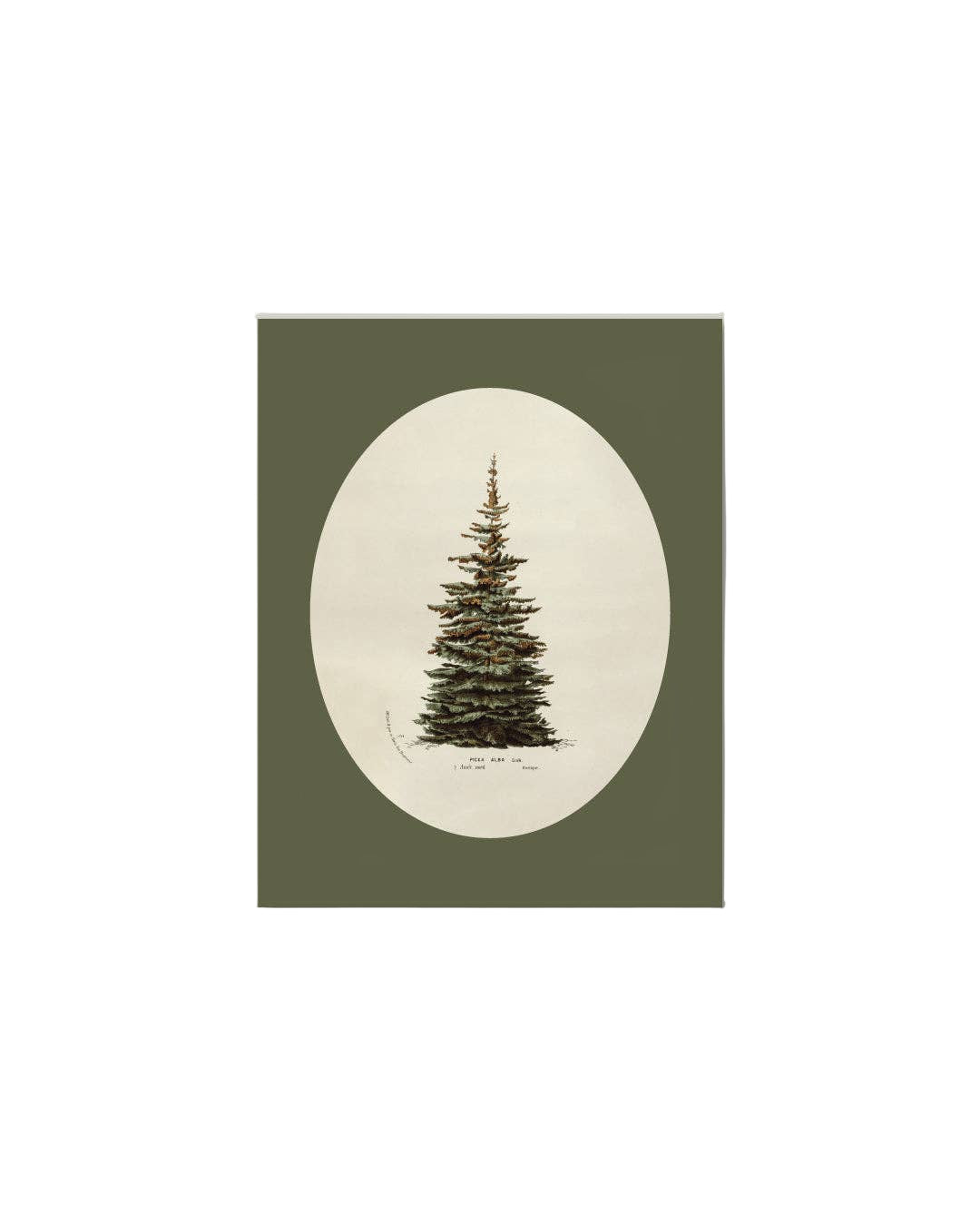 Oval Matte Tree Artist Board