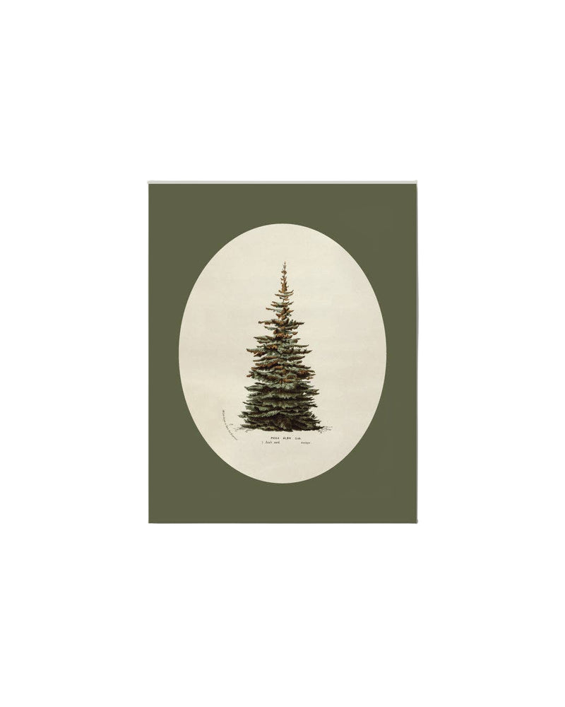Oval Matte Tree Artist Board