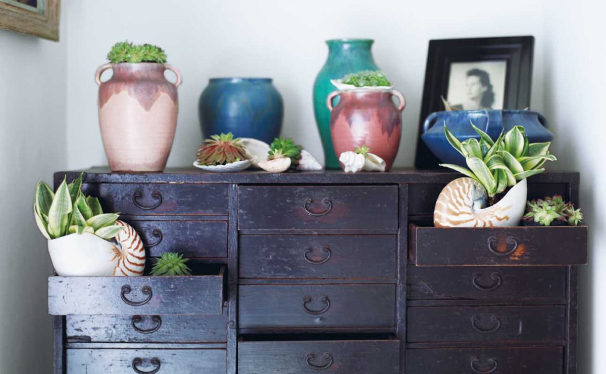 Inspire: The Art of Living with Nature by Willow Crossley