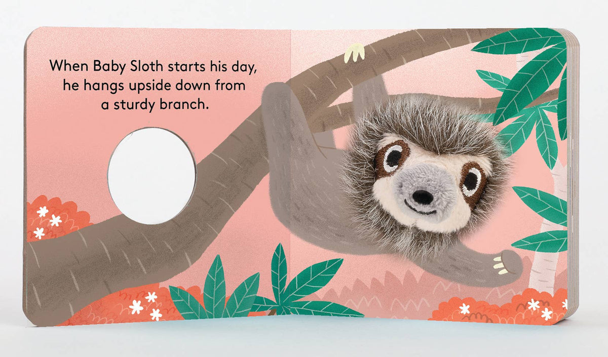Baby Sloth