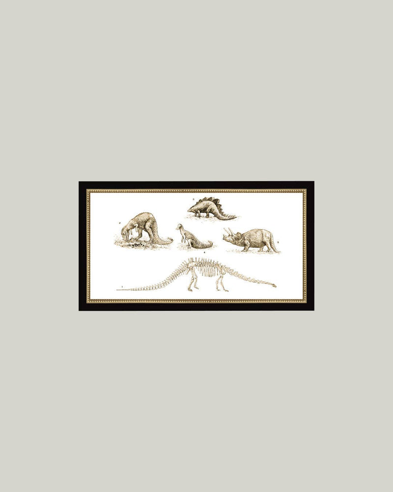 Dinosaur Discoveries Framed Antique Art