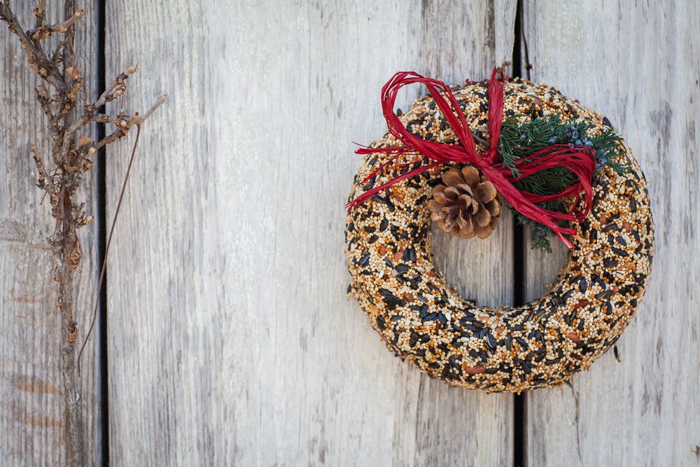 Wild Feast Bird Seed Wreath