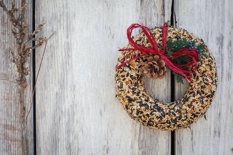 Wild Feast Bird Seed Wreath