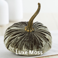 Small Velvet Pumpkins