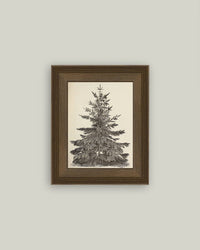 Vintage Pine Tree Framed Antique Art - 5x7