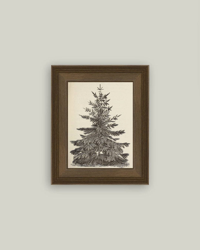 Vintage Pine Tree Framed Antique Art - 5x7