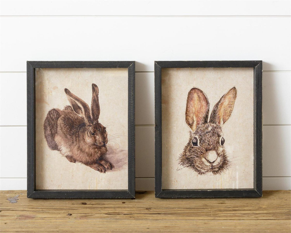 Framed Rabbit Prints