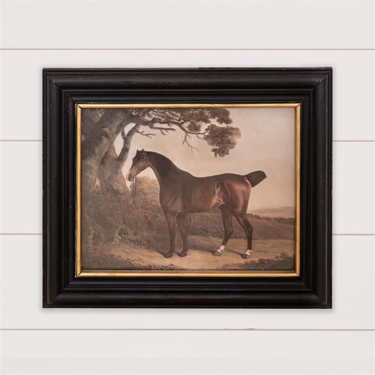 Horse - Framed Print