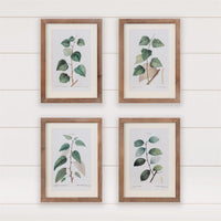 Botanical Green Leaves Framed Prints