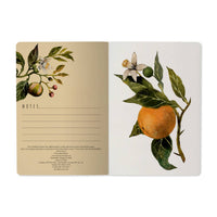 Notebook - Oranges and Blossoms 