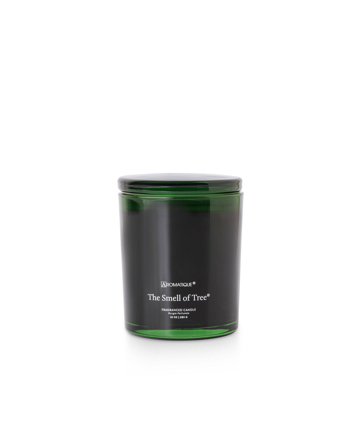 The Smell of Tree - Foundry Candle