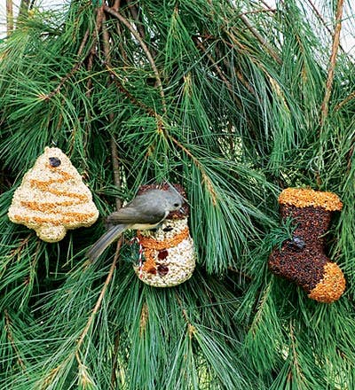 Christmas Bird Seed Shaped Ornaments - 4"