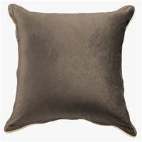 Velvet Pillow - 22"