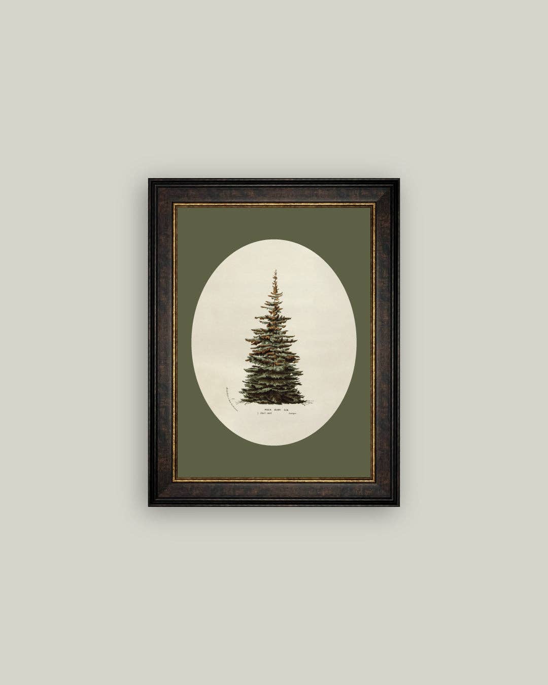 Oval Matte Tree Framed Antique Art -7x9