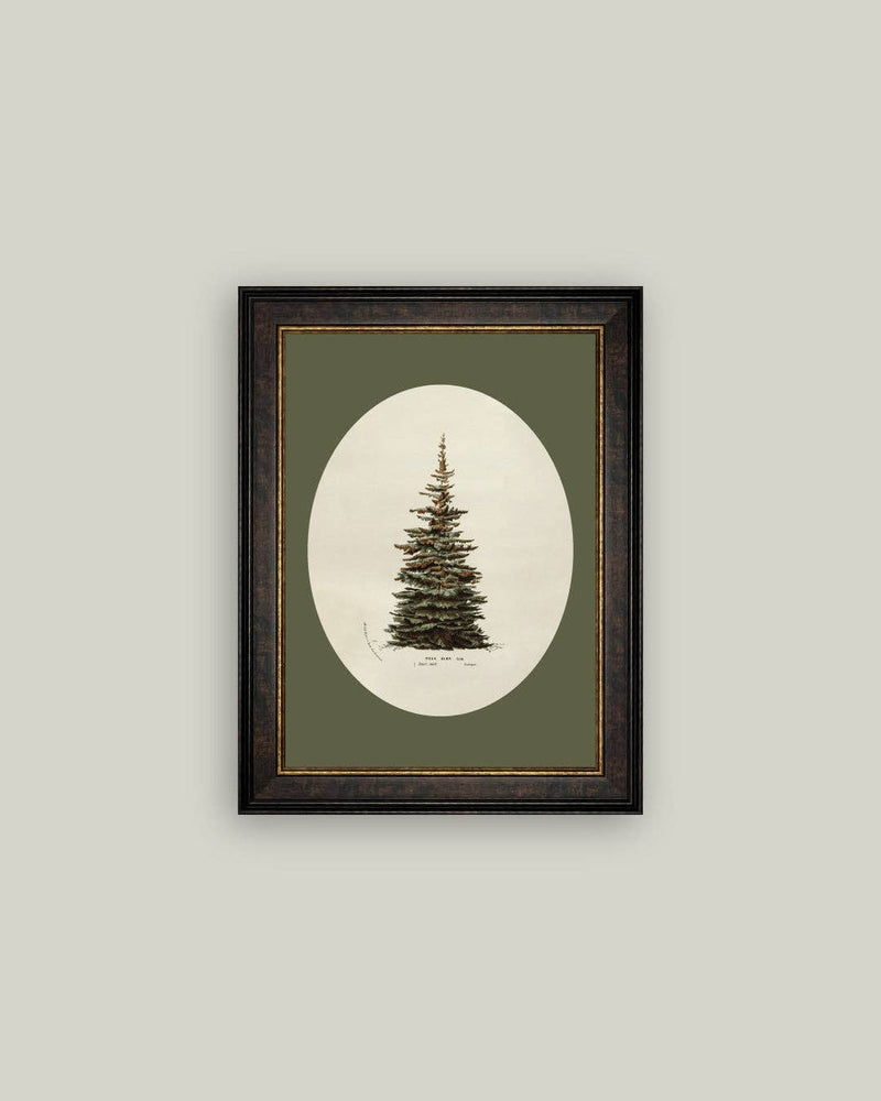 Oval Matte Tree Framed Antique Art -7x9