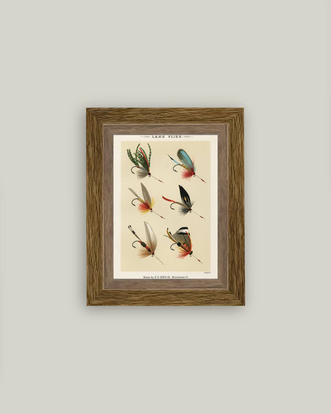 Lake Flies Framed Antique Art - 5 x 7