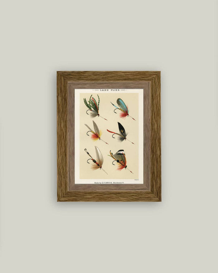 Lake Flies Framed Antique Art - 5 x 7