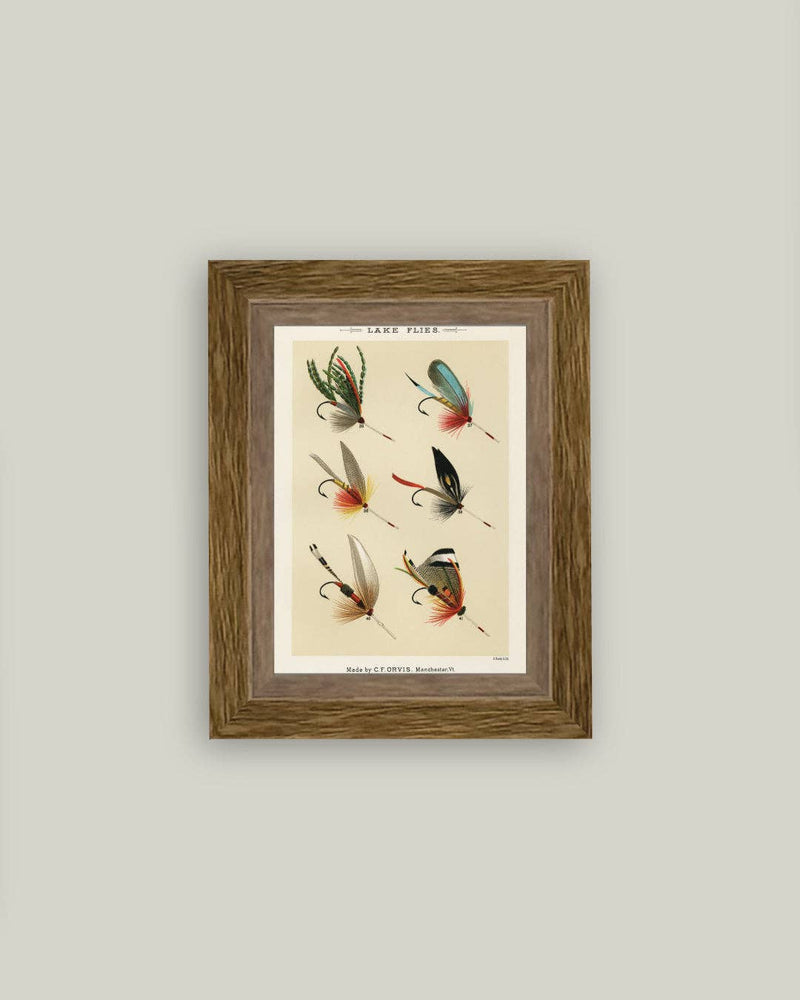 Lake Flies Framed Antique Art - 5 x 7