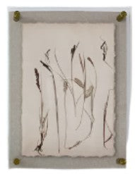 Gallery Framed Dried Botanical Prints