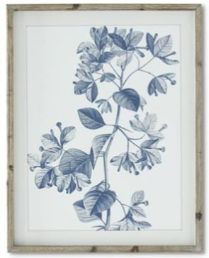 Blue & White Botanical Prints w/Wood Frame