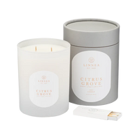 Two Wick Candle- Citrus Grove